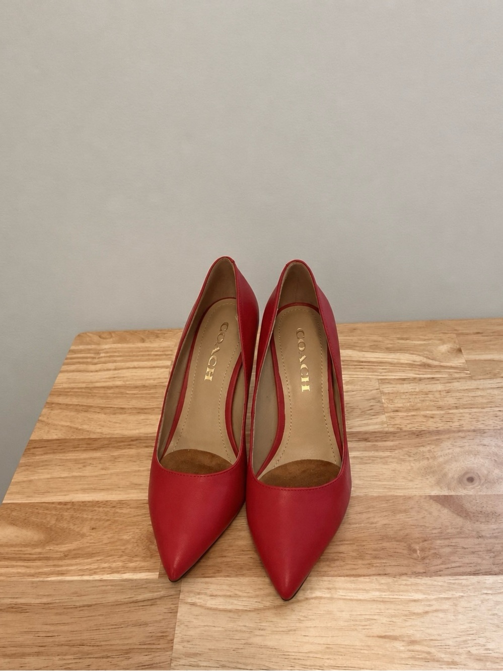 COACH Red Pointed-Toe Leather Pumps